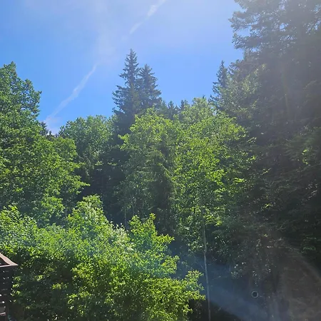 Vorauf Zirbelweg 15c Apartament Siegsdorf